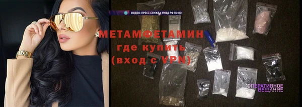 прущие грибы Белокуриха