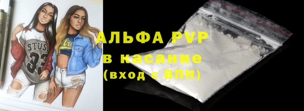 прущие грибы Белокуриха