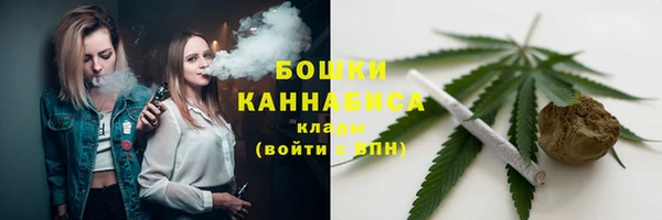 прущие грибы Белокуриха