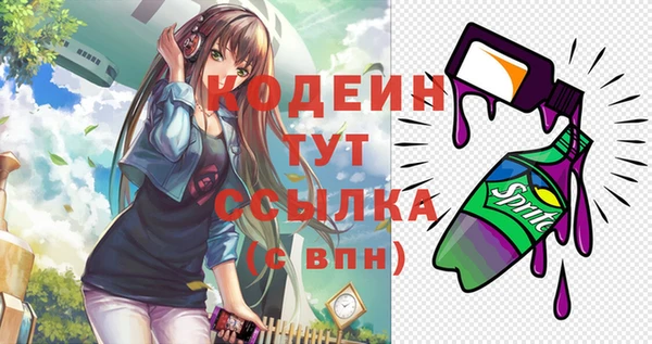 прущие грибы Беломорск
