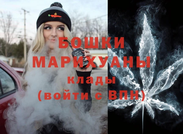 прущие грибы Белокуриха