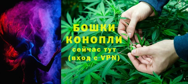 прущие грибы Белокуриха