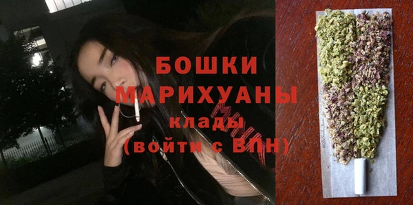 прущие грибы Белокуриха