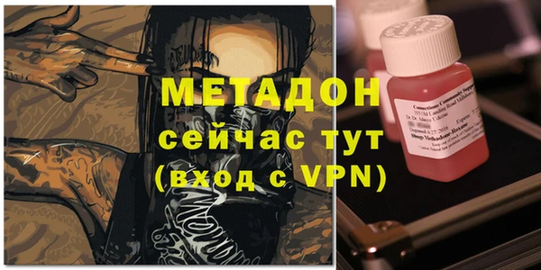 прущие грибы Белокуриха
