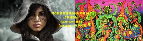 прущие грибы Беломорск
