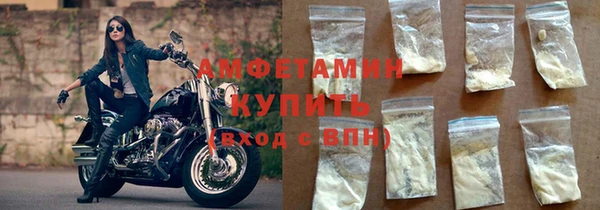 прущие грибы Белокуриха