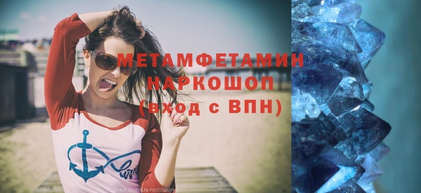прущие грибы Беломорск
