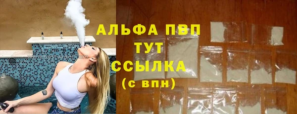 прущие грибы Беломорск